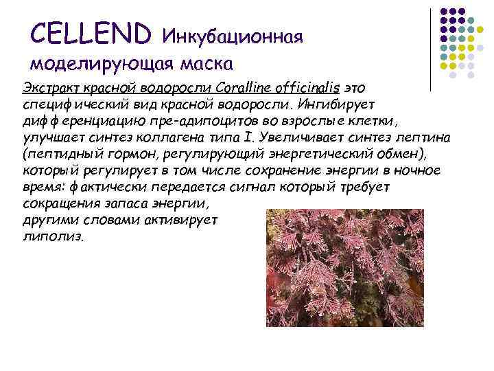 CELLEND Инкубационная моделирующая маска Экстракт красной водоросли Coralline officinalis это специфический вид красной водоросли.