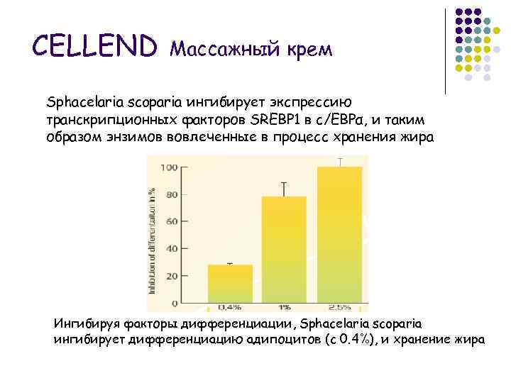 CELLEND Массажный крем Sphacelaria scoparia ингибирует экспрессию транскрипционных факторов SREBP 1 в c/EBPα, и