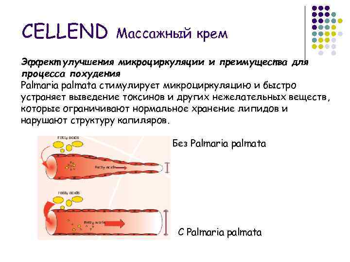 CELLEND Массажный крем Эффект улучшения микроциркуляции и преимущества для процесса похудения Palmaria palmata стимулирует