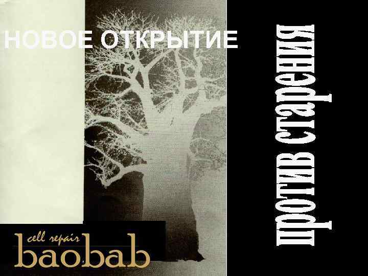 НОВОЕ ОТКРЫТИЕ 