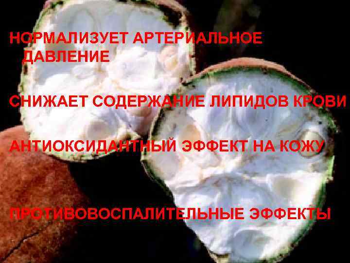 НОРМАЛИЗУЕТ АРТЕРИАЛЬНОЕ ДАВЛЕНИЕ СНИЖАЕТ СОДЕРЖАНИЕ ЛИПИДОВ КРОВИ АНТИОКСИДАНТНЫЙ ЭФФЕКТ НА КОЖУ ПРОТИВОВОСПАЛИТЕЛЬНЫЕ ЭФФЕКТЫ 
