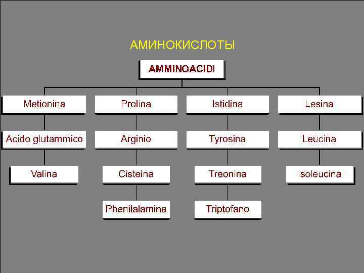 АМИНОКИСЛОТЫ 