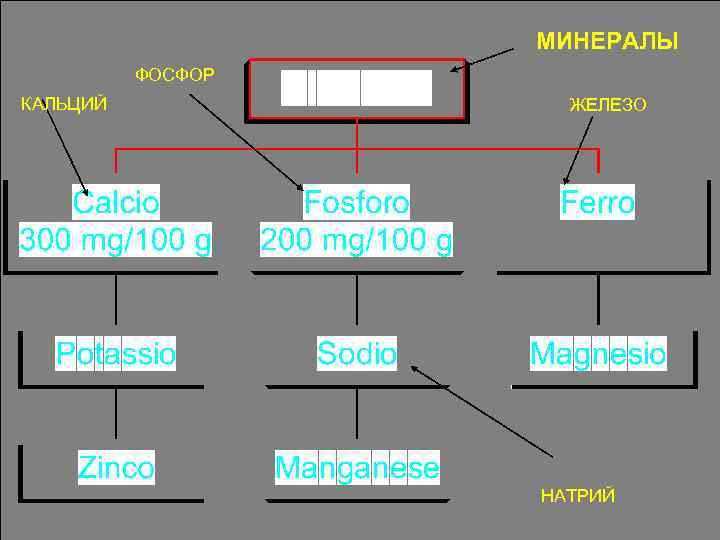 МИНЕРАЛЫ ФОСФОР КАЛЬЦИЙ ЖЕЛЕЗО НАТРИЙ 