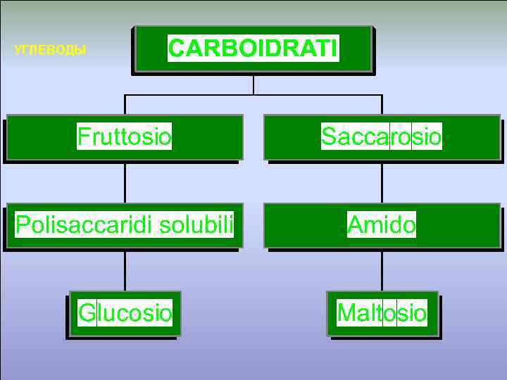 УГЛЕВОДЫ 