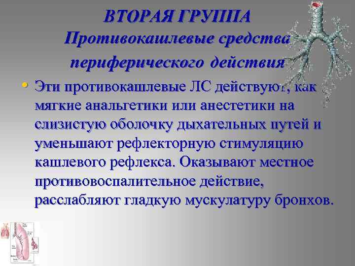 ВТОРАЯ ГРУППА Противокашлевые средства периферического действия • Эти противокашлевые ЛС действуют, как мягкие анальгетики