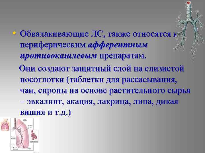  • Обвалакивающие ЛС, также относятся к периферическим афферентным противокашлевым препаратам. Они создают защитный