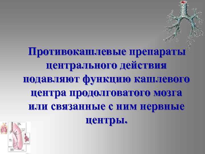  Противокашлевые препараты центрального действия подавляют функцию кашлевого центра продолговатого мозга или связанные с