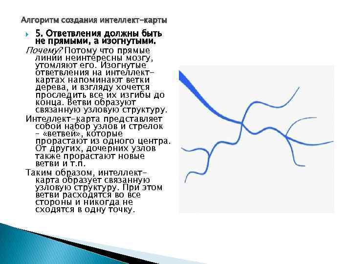 Алгоритм создания интеллект-карты 5. Ответвления должны быть не прямыми, а изогнутыми. Почему? Потому что