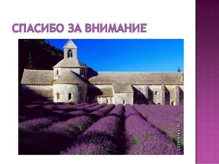 СПАСИБО ЗА ВНИМАНИЕ 