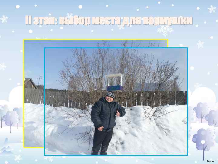 II этап: выбор места для кормушки 