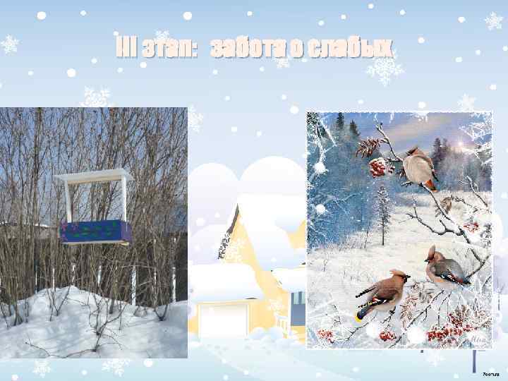 III этап: забота о слабых 