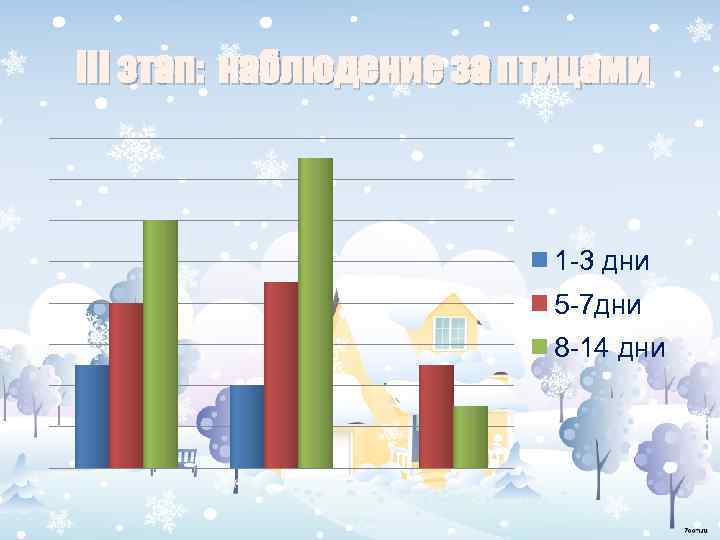 III этап: наблюдение за птицами 1 -3 дни 5 -7 дни 8 -14 дни