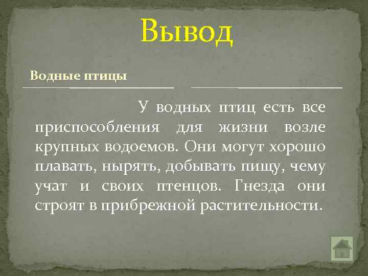 Вывод Водные птицы У водных птиц есть все приспособления для жизни возле крупных водоемов.