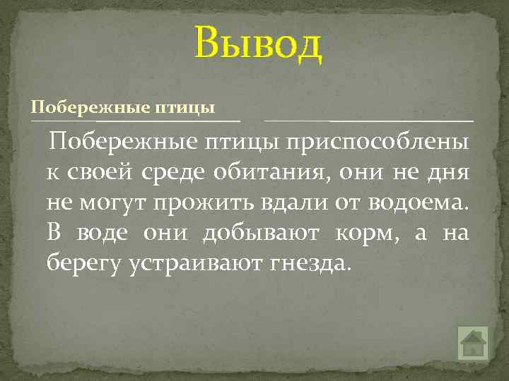 Вывод Побережные птицы приспособлены к своей среде обитания, они не дня не могут прожить