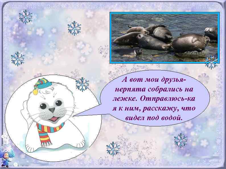 А вот мои друзьянерпята собрались на лежке. Отправлюсь-ка я к ним, расскажу, что видел