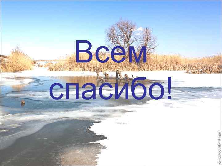 Всем спасибо! 