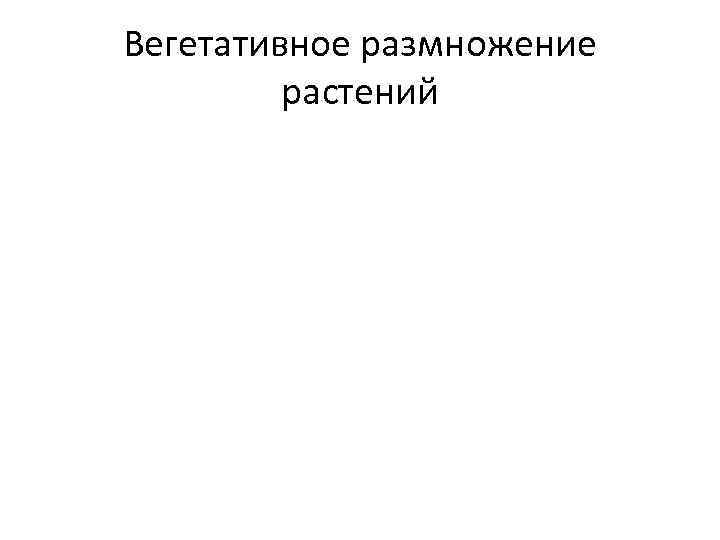 Вегетативное размножение растений 