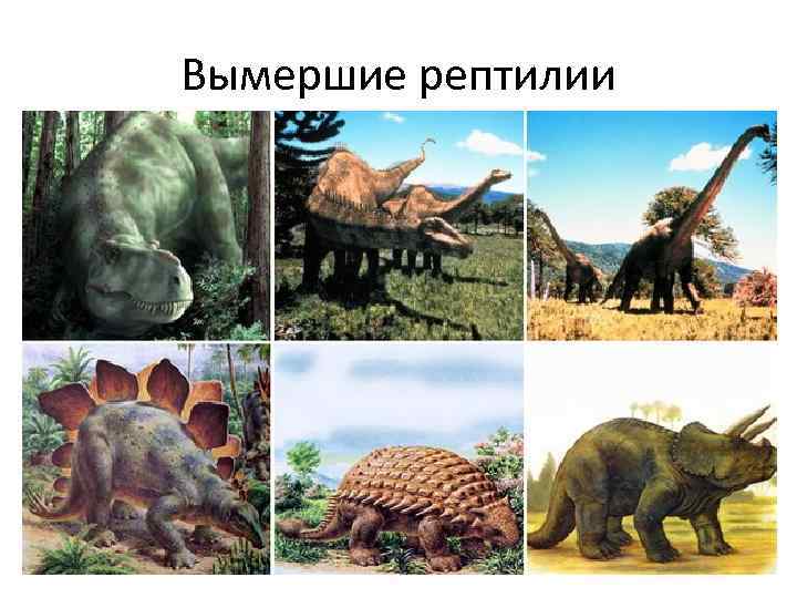 Вымершие рептилии 