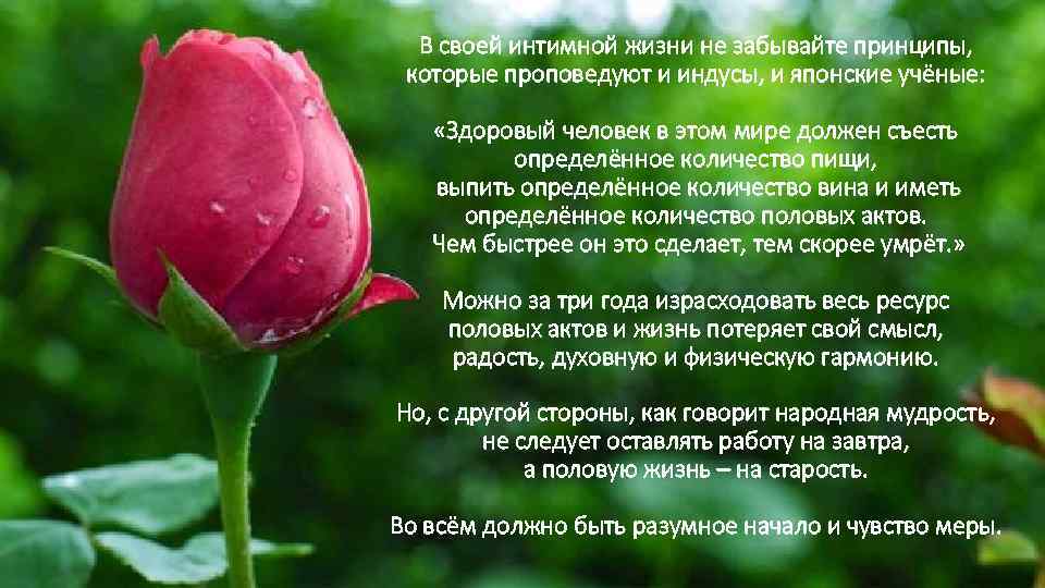 В своей интимной жизни не забывайте принципы, которые проповедуют и индусы, и японские учёные: