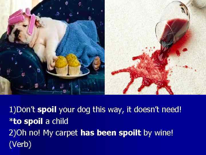 1)Don’t spoil your dog this way, it doesn’t need! *to spoil a child 2)Oh