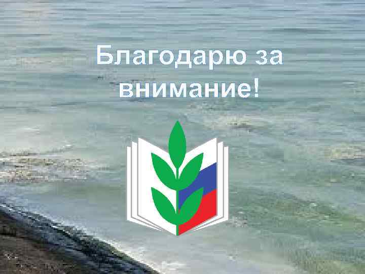 Благодарю за внимание! 