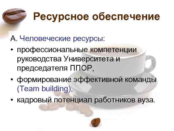 Ресурсное обеспечение А. Человеческие ресурсы: • профессиональные компетенции руководства Университета и председателя ППОР, •