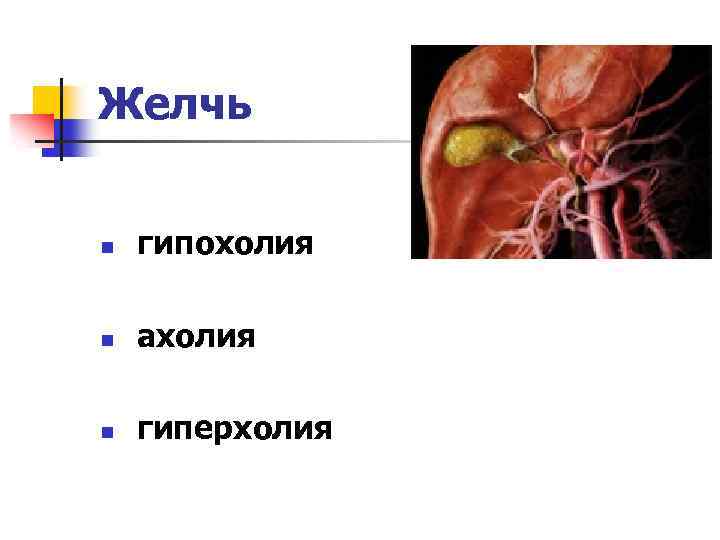 Желчь n гипохолия n ахолия n гиперхолия 