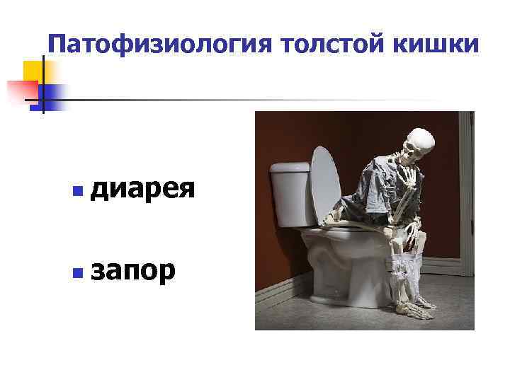 Патофизиология толстой кишки n диарея n запор 