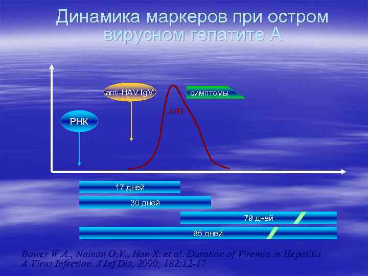 Динамика маркеров при остром вирусном гепатите А anti-HAV Ig. M симптомы АЛТ РНК 17
