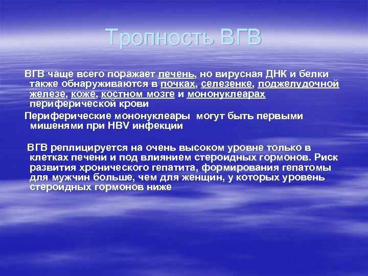 Тропность ВГВ чаще всего поражает печень, но вирусная ДНК и белки также обнаруживаются в