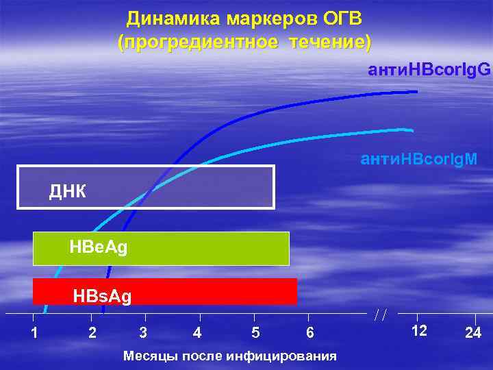 Динамика маркеров ОГВ (прогредиентное течение) анти. HBcor. Ig. G анти. HBcor. Ig. M ДНК