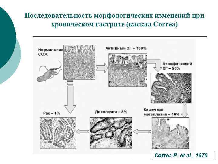 Методы диагностики в гастроэнтерологии презентация