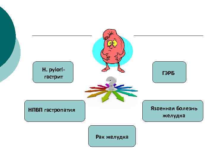 H. pyloriгастрит ГЭРБ Язвенная болезнь желудка НПВП гастропатия Рак желудка 