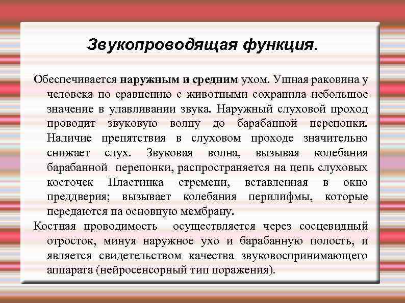 Звукопроводящая функция. Обеспечивается наружным и средним ухом. Ушная раковина у человека по сравнению с