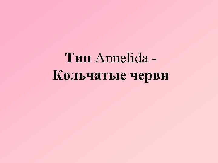 Тип Annelida Кольчатые черви 