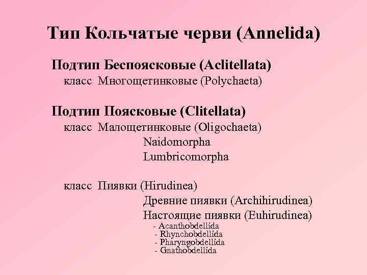 Тип Кольчатые черви (Annelida) Подтип Беспоясковые (Aclitellata) класс Многощетинковые (Polychaeta) Подтип Поясковые (Clitellata) класс