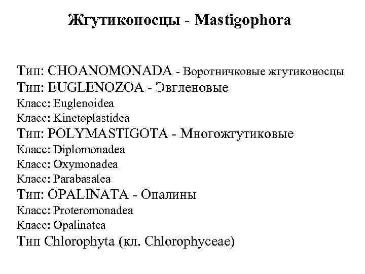 Жгутиконосцы - Mastigophora Тип: CHOANOMONADA - Воротничковые жгутиконосцы Тип: EUGLENOZOA - Эвгленовые Класс: Euglenoidea