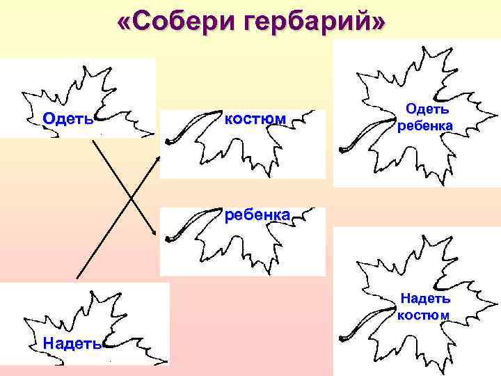  «Собери гербарий» Одеть костюм Одеть ребенка Надеть костюм Надеть 