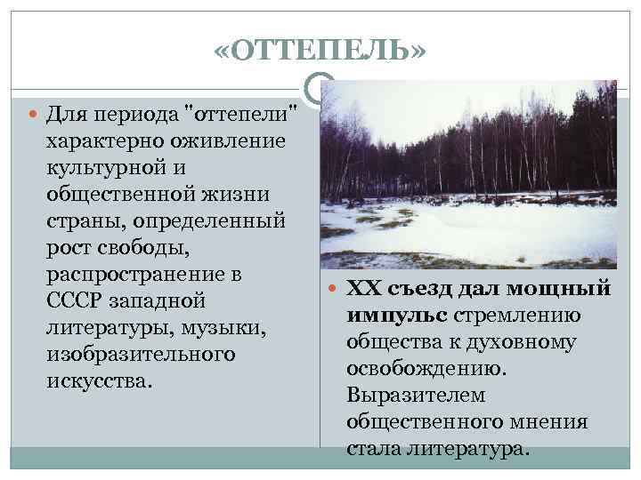  «ОТТЕПЕЛЬ» Для периода 