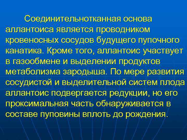 Соединительнотканная основа аллантоиса является проводником кровеносных сосудов будущего пупочного канатика. Кроме того, аллантоис участвует