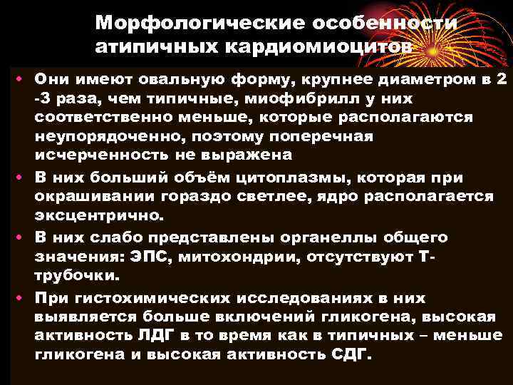 Морфологические особенности атипичных кардиомиоцитов • Они имеют овальную форму, крупнее диаметром в 2 -3