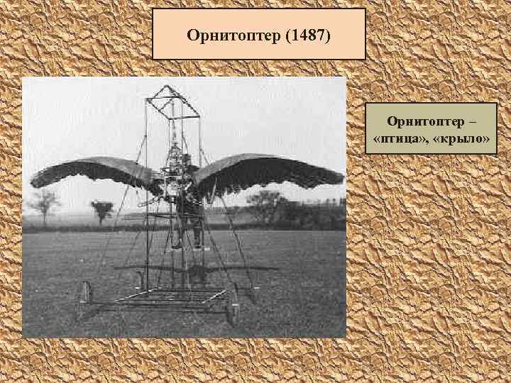 Орнитоптер (1487) Орнитоптер – «птица» , «крыло» 