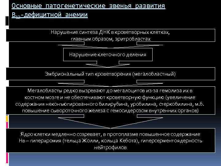 Основные патогенетические звенья развития В 12 -дефицитной анемии Нарушение синтеза ДНК в кроветворных клетках,