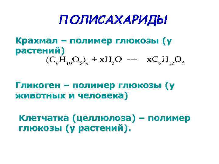 ПОЛИСАХАРИДЫ Крахмал – полимер глюкозы (у растений) Гликоген – полимер глюкозы (у животных и