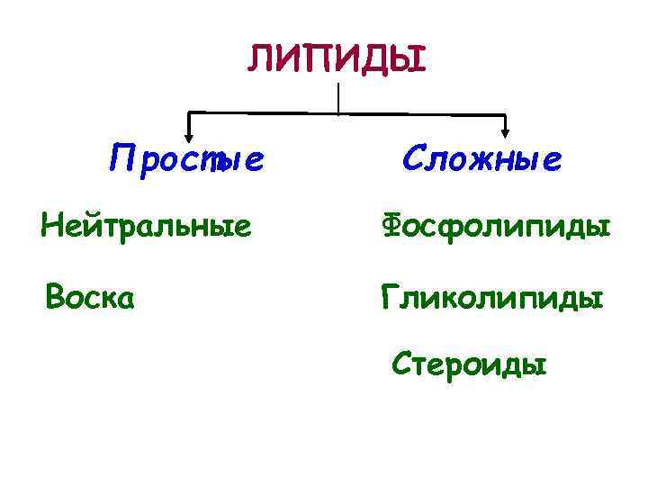ЛИПИДЫ Простые Сложные Нейтральные Фосфолипиды Воска Гликолипиды Стероиды 