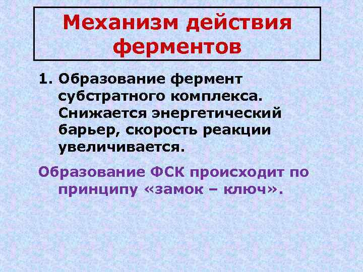 Механизм действия ферментов 1. Образование фермент субстратного комплекса. Снижается энергетический барьер, скорость реакции увеличивается.