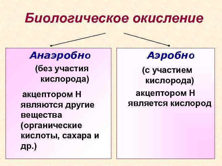 Биологическое окисление Анаэробно Аэробно (без участия кислорода) (с участием кислорода) акцептором Н является кислород