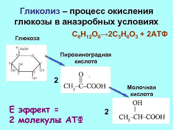 Гликолиз – процесс окисления глюкозы в анаэробных условиях С 6 Н 12 О 6→