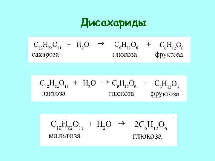 Дисахариды 