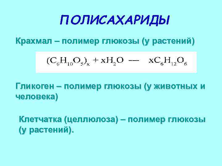 ПОЛИСАХАРИДЫ Крахмал – полимер глюкозы (у растений) Гликоген – полимер глюкозы (у животных и